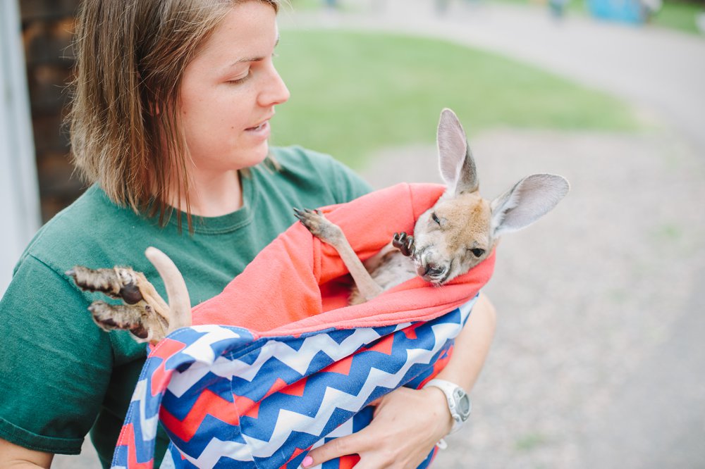 Pine Grove Zoo Little Falls | The Second Oldest Zoo in Minnesota | Up North Parent