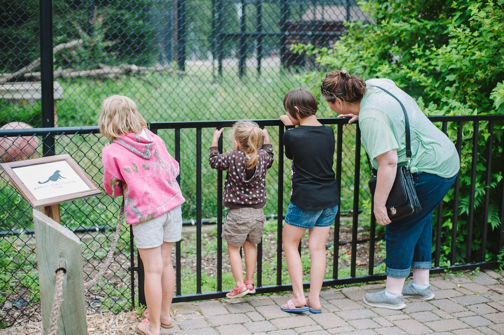 Pine Grove Zoo Little Falls | The Second Oldest Zoo in Minnesota | Up North Parent