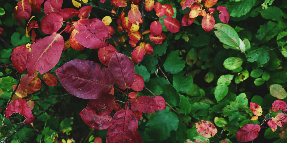 6 Tips For Autumn Self-Care | Cozy Blankets, Colorful Leaves and Pumpkin Spice Everything