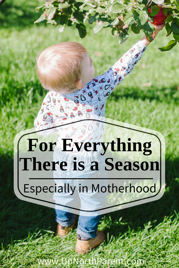 For Everything There is a Season, Especially in Motherhood | Season in Motherhood and Business as an Entrepreneur | everything is a season in motherhood