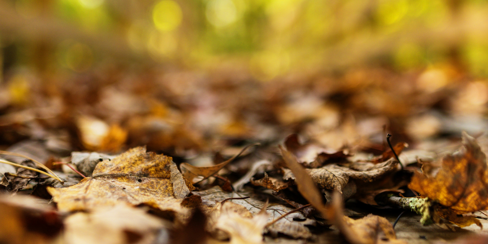 St. Mathias Heritage Trail | Brainerd Lakes Area