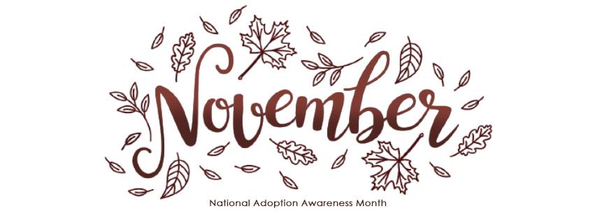 November is Adoption Awareness Month | Respectful Adoption Language