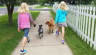 TWIN CARE_ Dog Walking and Pet Sitting in Brainerd, Minnesota