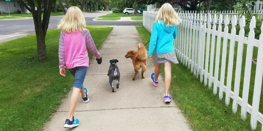 Got Pets? Twin Tweens Turn a Love of Pets into a Dog Walking and Pet-Sitting Business