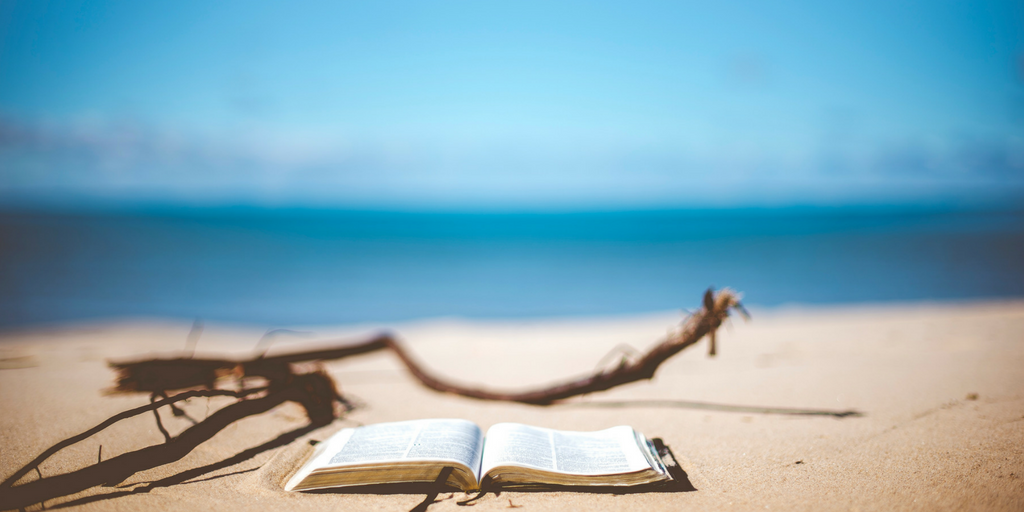 Beach Reads | Our Summer Book Recommendations for All Ages