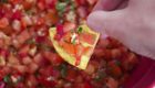 Going Beyond _Just Tomatoes_ with 5 Fresh Salsa Recipes!