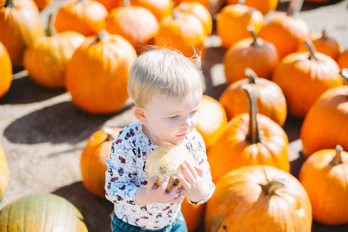 The Best Fall Family Activities