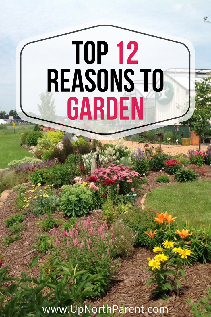 Top 12 Reasons to Garden _ The Intrinsic Value of Gardening