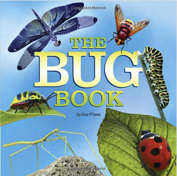The Ultimate Gift Guide for Bug Loving Kids