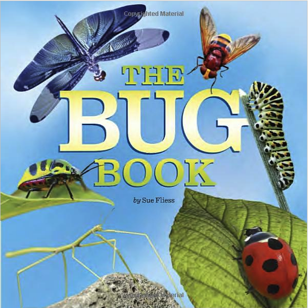 Bug gifts for toddlers on sale