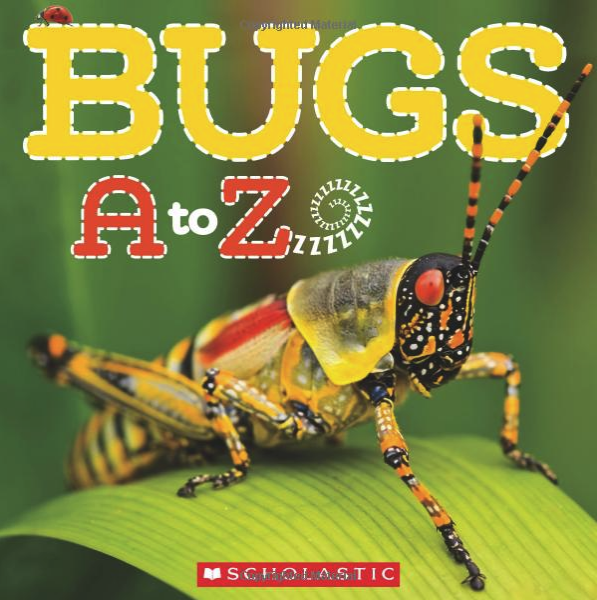 The Ultimate Gift Guide for Bug-Loving Kids