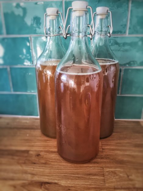 kombucha