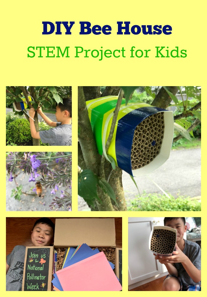 STEM pollinator activity