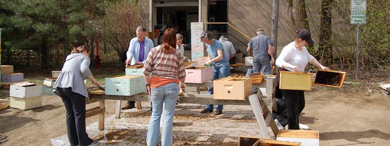 A look at the care and feeding of bees in honor of National Pollinators Week. Tips to remove a bee stringer and how to best care for bees.