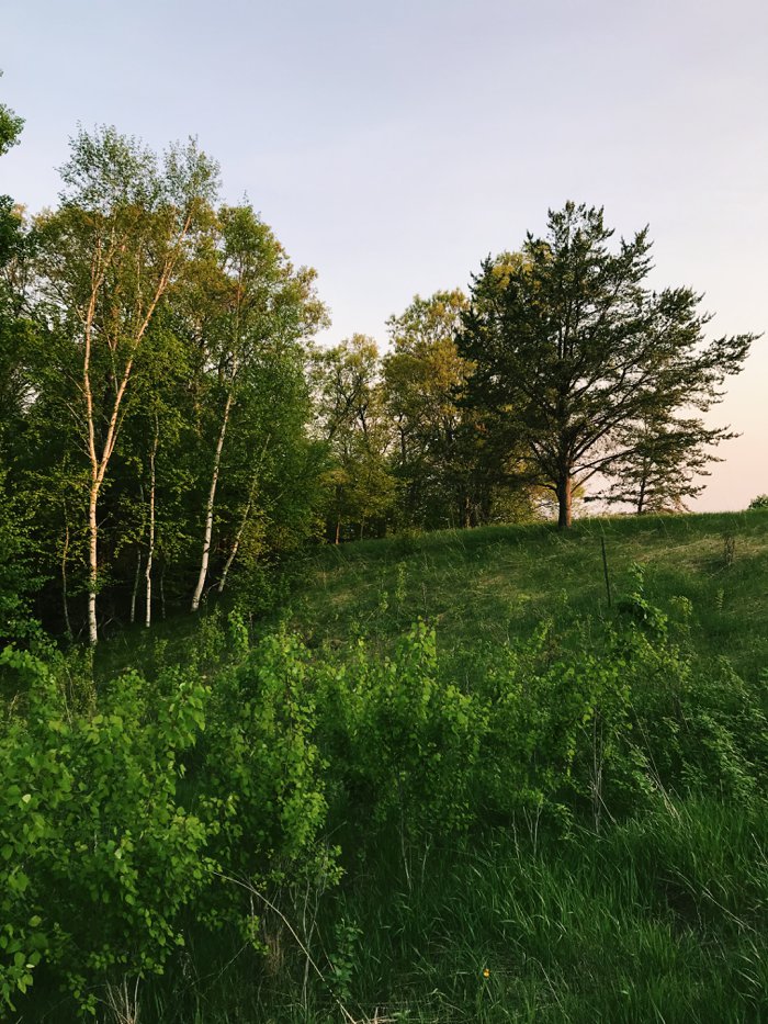 Site of Forest School in Breezy Point, MN