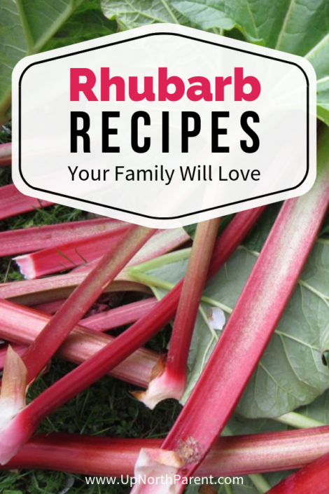 Tart and Terrific Rhubarb Recipes Your Family will Love