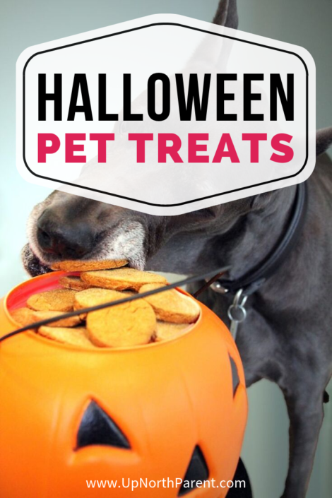 Pup-or-Treat! Easy Halloween Pet Treats