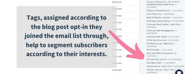 how to segment email lists with tags in convertkit, the best email list builder for bloggers